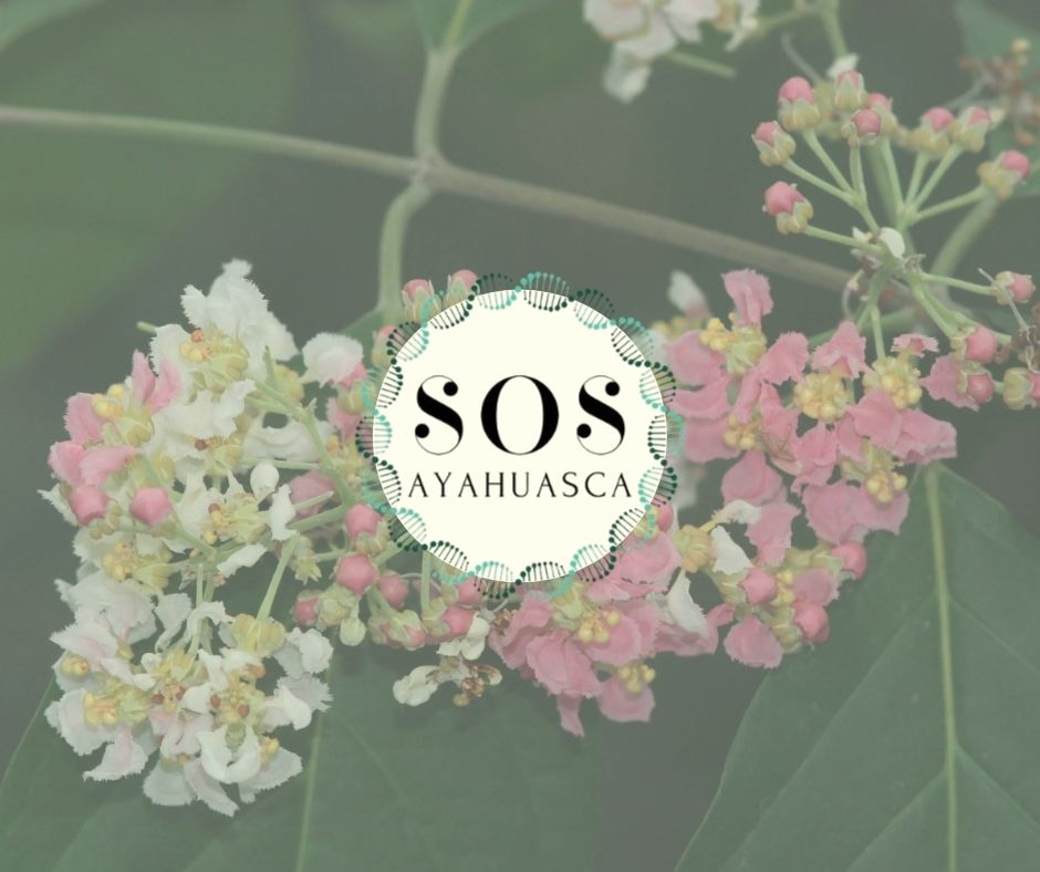 Chamada aberta para colaboração técnica e científica