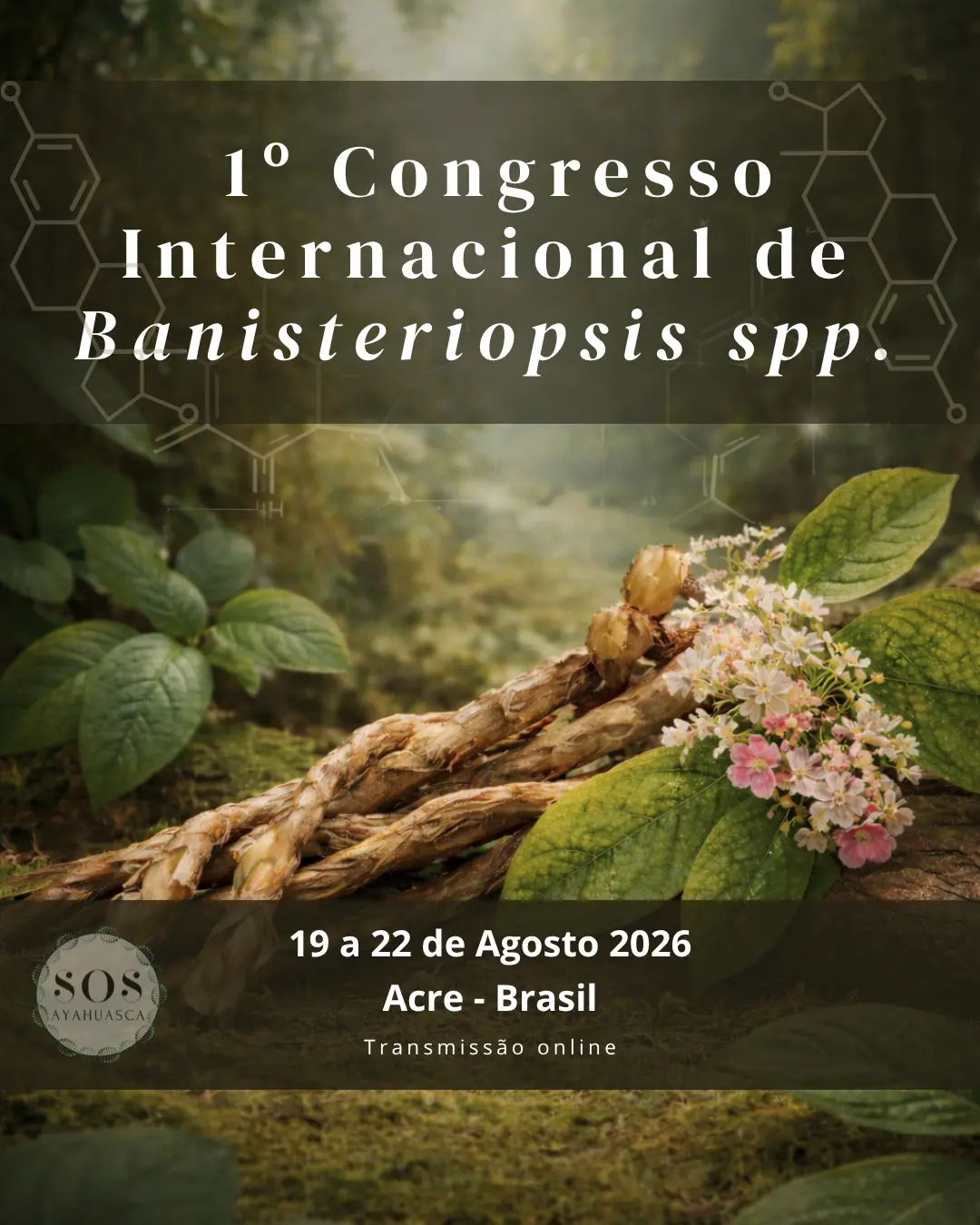 CIB 2026 - Congresso Internacional Banisteriopsis caapi